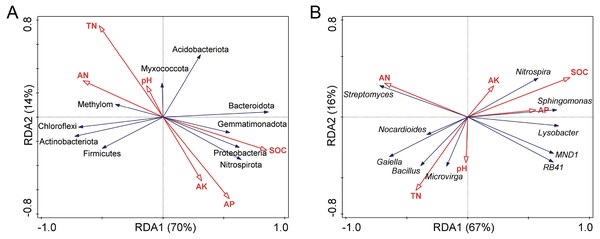 Redundancy analysis (RDA) of the relationship between bacterial community structure and soil chemical properties at phylum (A) and genus (B) levels.