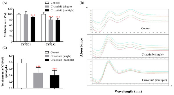 Crizotinib suppressing the activities of CYP by reducing the abundance of CYP enzymes.