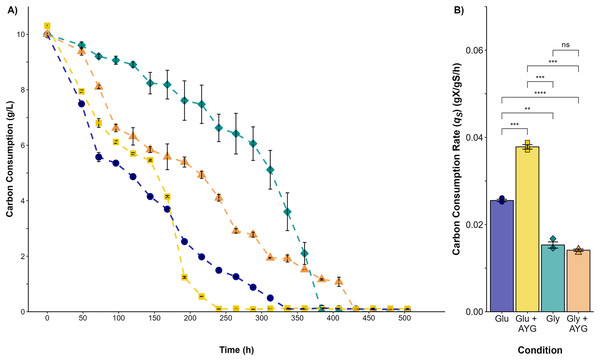 Carbon source consumption.