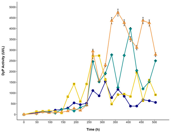 DyP activity in the cultures of P. ostreatus.