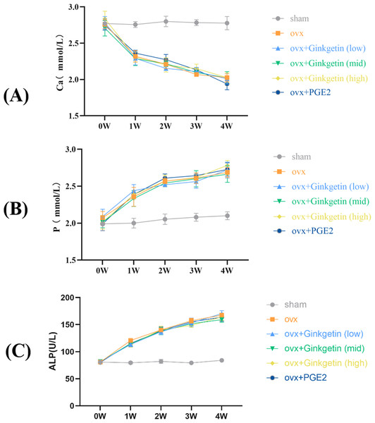 Effects of ginkgetin on serum ALP, P, and Ca levels measured by the biochemical instrument at 1-, 2-, 3- and 4-week respectively in OVX mice.