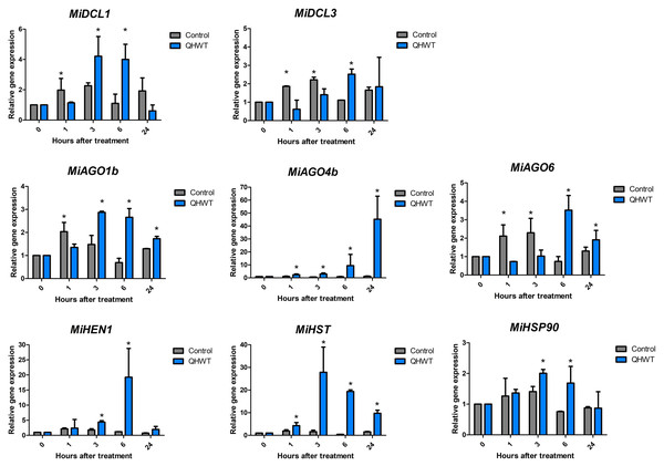 Expression levels of the DCL, AGO, HEN, HST, and HSP90 selected genes.