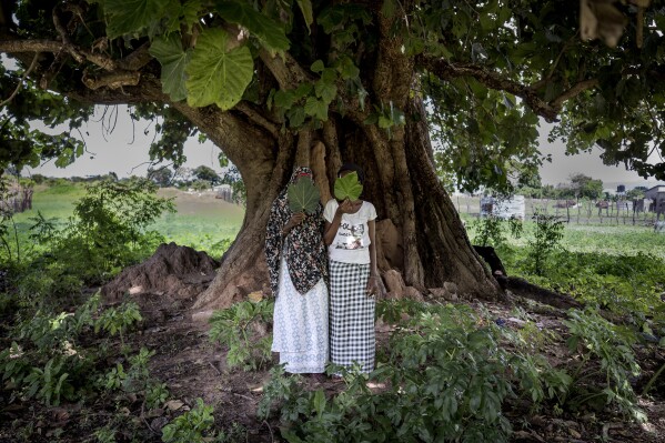 Fatoumatta, a survivor of the female genital mutilation, left, poses for a photograph with her daughter in the village of Sintet, Gambia, Friday, July. 26, 2024. Fatoumata underwent FGM when she was 15 years old. After going through it, she realized that her pain and suffering were “not normal.” She is posing with one of her daughters - she has five and none have been cut. (AP Photo/Annika Hammerschlag)