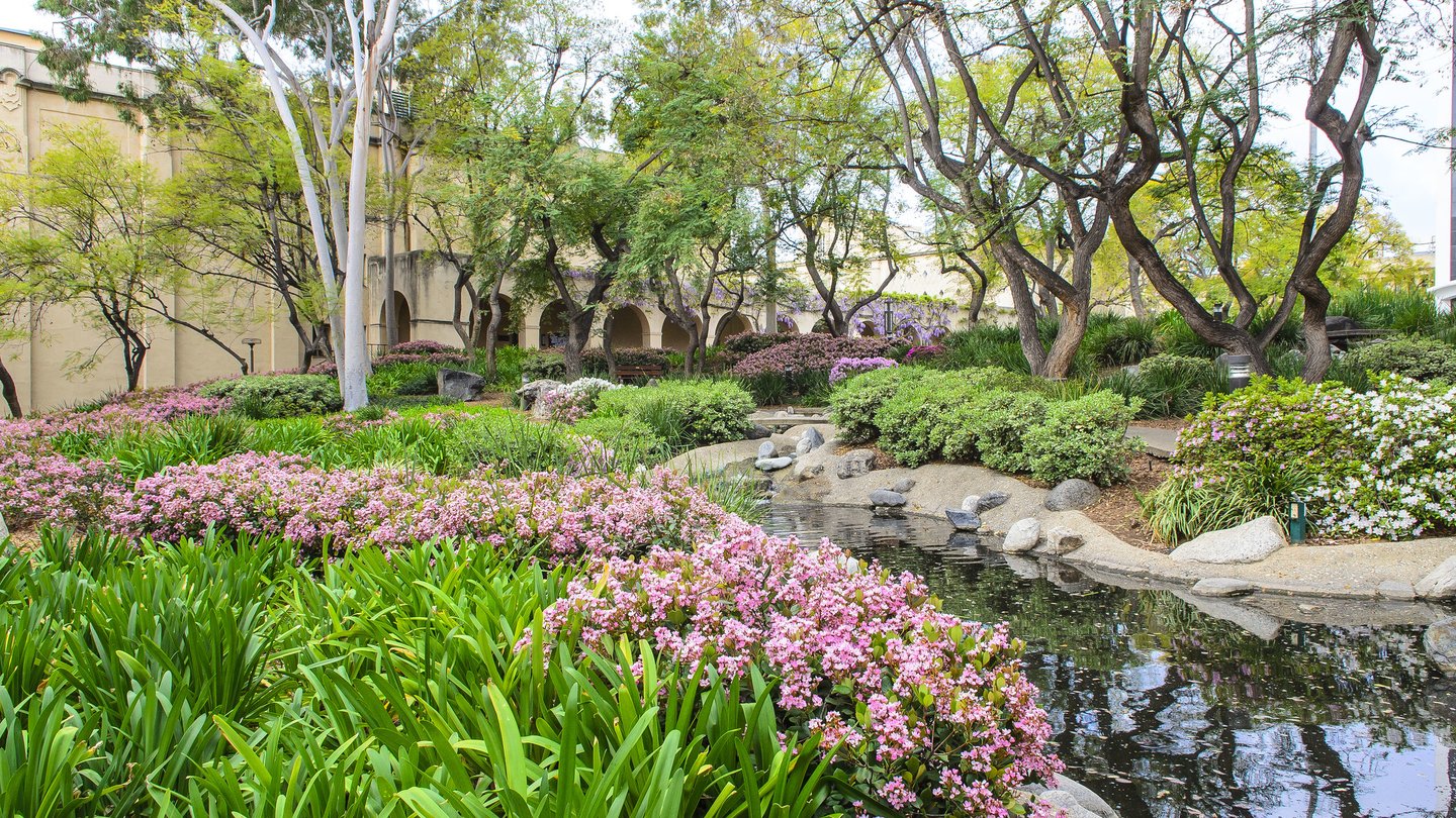 garden on campus