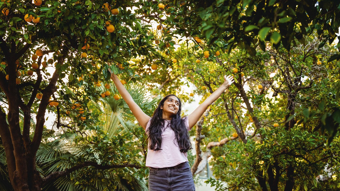 Student standing in front of orange tree on campus