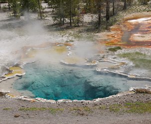 Octopus Sprint in Yellowstone National Park