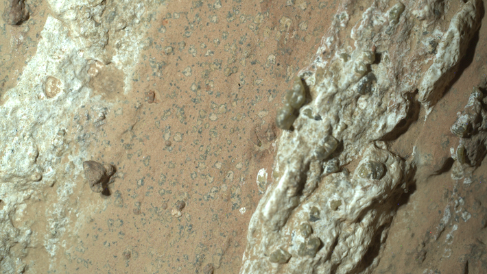 A Martian rock discovered by the Perseverance rover