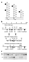 Homologous recombination at the Vcam1 gene locus. (a) Alternative RNA splic