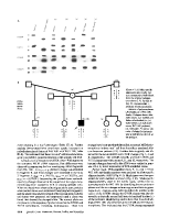 icon of scanned page 1816