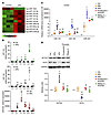 APs transferred miR-143, miR-145, and miR-223 into VSMCs, and promoted VSMC