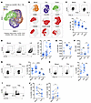 TDL Tfh have an intermediate activation phenotype between LNs and blood, wi