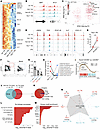 Epigenetic signature of GC Tfh can be traced into CXCR5BrPD-1Br TDL Tfh and