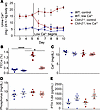 Hypercalciuria in Cldn2–/y mice is sensitive to dietary calcium intake.