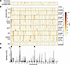 The genetic architecture of insulin and glucagon secretion.