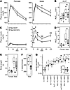 Ptpn18D197A mutant mice show reduced body weight, improved insulin sensitiv