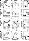 Hunk is necessary for Western diet–induced islet dysfunction.