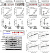 MAPK4 promotes prostate tumor growth and its expression correlates with AR