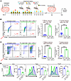 Inhibition of IDH1-R132H in combination with SOC and αPD-L1 induces CD8+ T