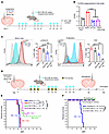 Inhibition of IDH1-R132H decreases the production of D-2HG in vivo, improve