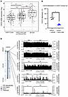 Regulation of PD-L1 expression in human mIDH1 glioma cells.