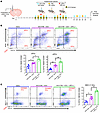 Inhibition of IDH1-R132H in combination with SOC and αPD-L1 leads to higher