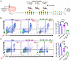 Inhibition of IDH1-R132H in combination with SOC and αPD-L1 decreases the a