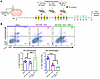 Inhibition of IDH1-R132H in combination with SOC and αPD-L1 decreases the a