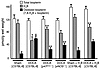 Tetrahydrobiopterin and oxidized biopterin content in aortas from sham-oper