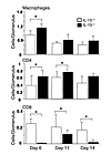 IL-15+/+ mice. Data were evaluated by Bonferroni-<span class='search_ter...