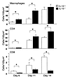 (presented as mean ± SEM) were analyzed by Bonferroni-<span class='searc...