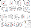 V-9302 induces ATB0,+ expression to sustain glutamine uptake and glutathion