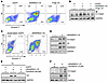 Blockade of RARRES1 cleavage mitigates the apoptotic potential of RARRES1 o