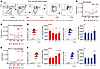 PD-1 and PD-L1 expression in KCs is increased during the resolution of acut