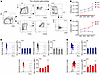 PD-L1 expression of lymphocyte subsets is increased during the resolution o