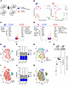 Age-related changes in alveolar macrophage transcriptomes persist during in