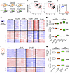 Age-related transcriptomic changes in TRAMs are not cell autonomous.