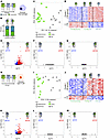 Heterochronic parabiosis does not reverse age-related transcriptomic change