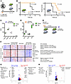 The aging microenvironment confers resistance to GM-CSF signaling in alveol