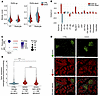 Podocyte-specific lipid metabolism pathways identified in vivo independentl