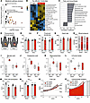 pCF regulates circulating metabolites and cardiometabolic fitness.