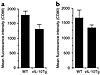 Cultured ECs from vIL-10Tg mice have decreased expression of CD80 and CD86.