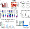 IFN-γ increases and alters the HLA peptidome in MCC.