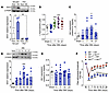 Upregulation of IDO1 in peripheral hematopoietic cell compartment mediates