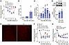 KMO is upregulated in the spinal cord after SNI and mediates neuropathic pa