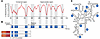 Bacterial 16S rRNA gene.