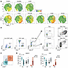 PD-1 and ICOS identify distinct subsets of CD4+ Th TILs.