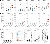 Functional properties of DN, SP, and DP CD4+ Th TILs.