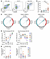 DP CD4+ Th TILs have a unique and oligoclonal TCR repertoire.