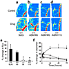 Effects of PAR-2 agonists on synovial perfusion and joint swelling. (a) Las