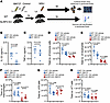 PLK1 kinase inhibition suppresses the inflammatory response in a MSU-induce